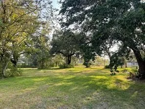 a view of a trees in a yard