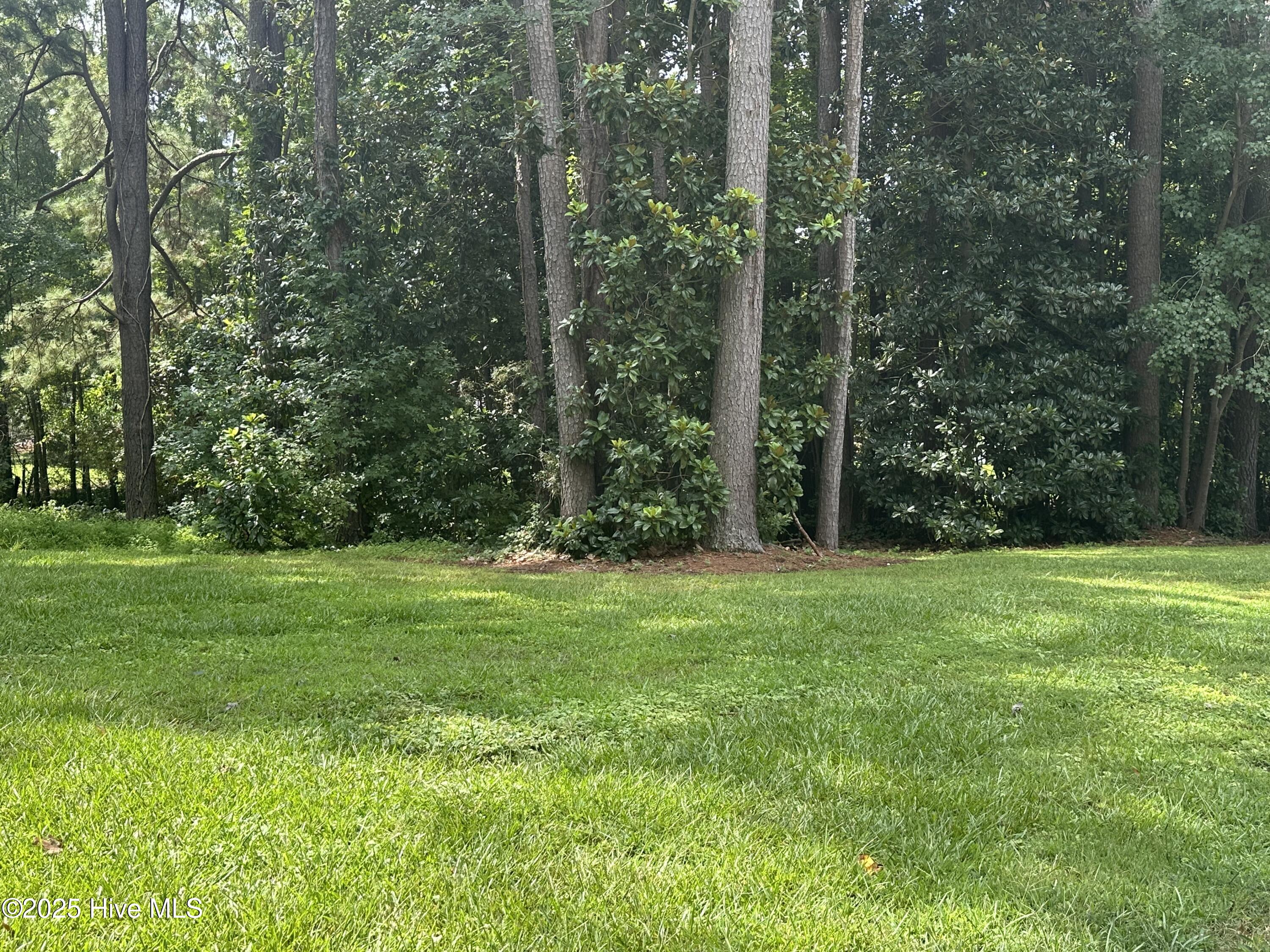 212 McLean Street Spring Hope, NC 27882 - Photo 36 of 46 IMG_6590