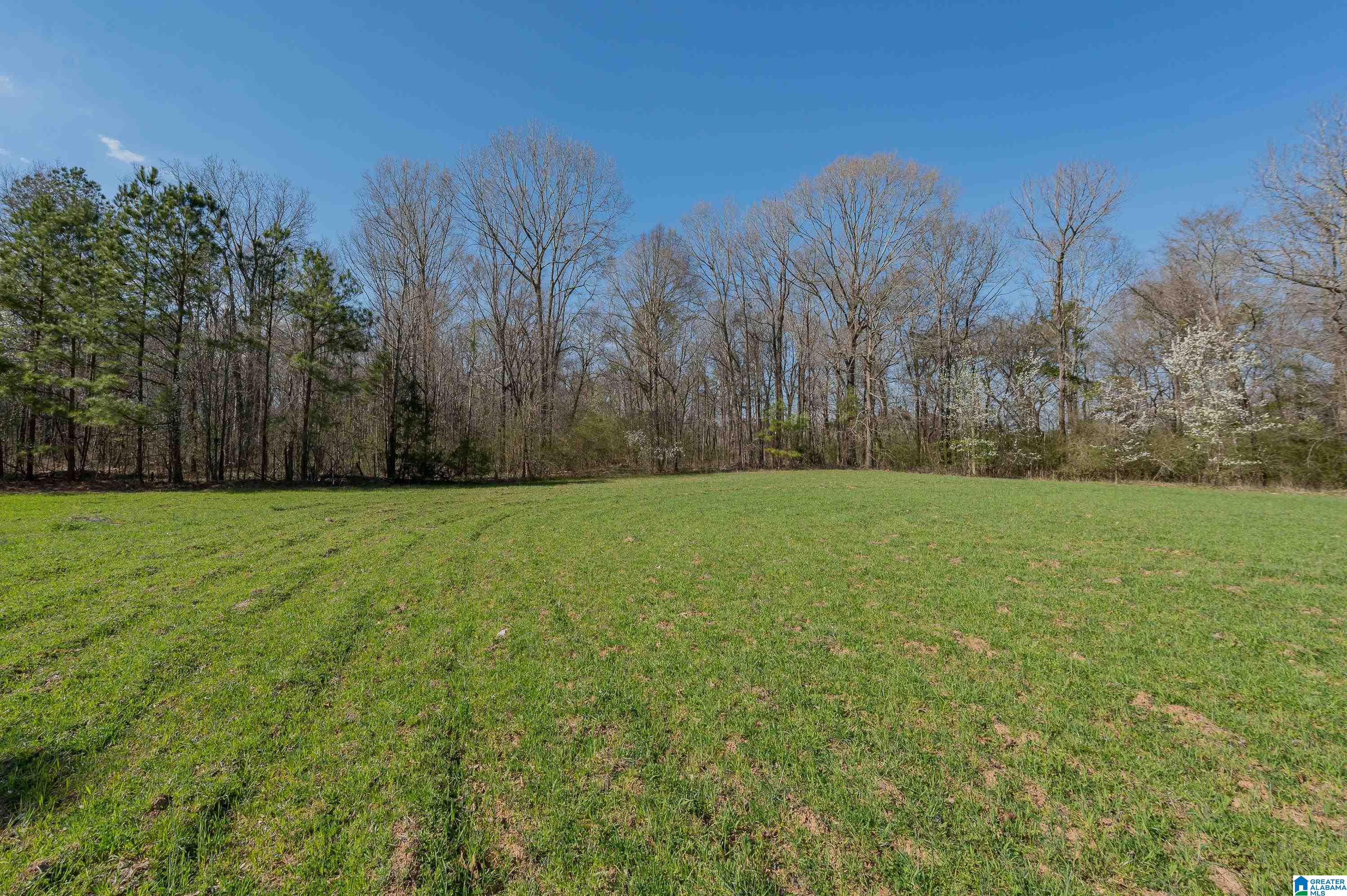 881 Sun Valley Road Harpersville, AL 35078 - Photo 27 of 33