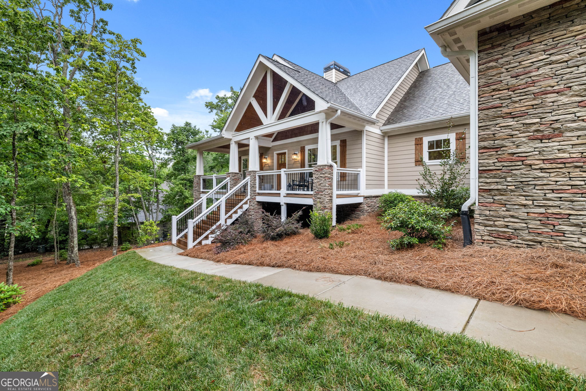 373 McIntosh Road Clarkesville, GA 30523 - Photo 2 of 92