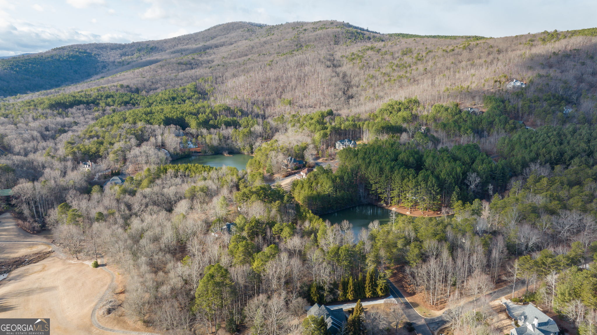 373 McIntosh Road Clarkesville, GA 30523 - Photo 40 of 92 a view of a lush green forest with mountains in the background