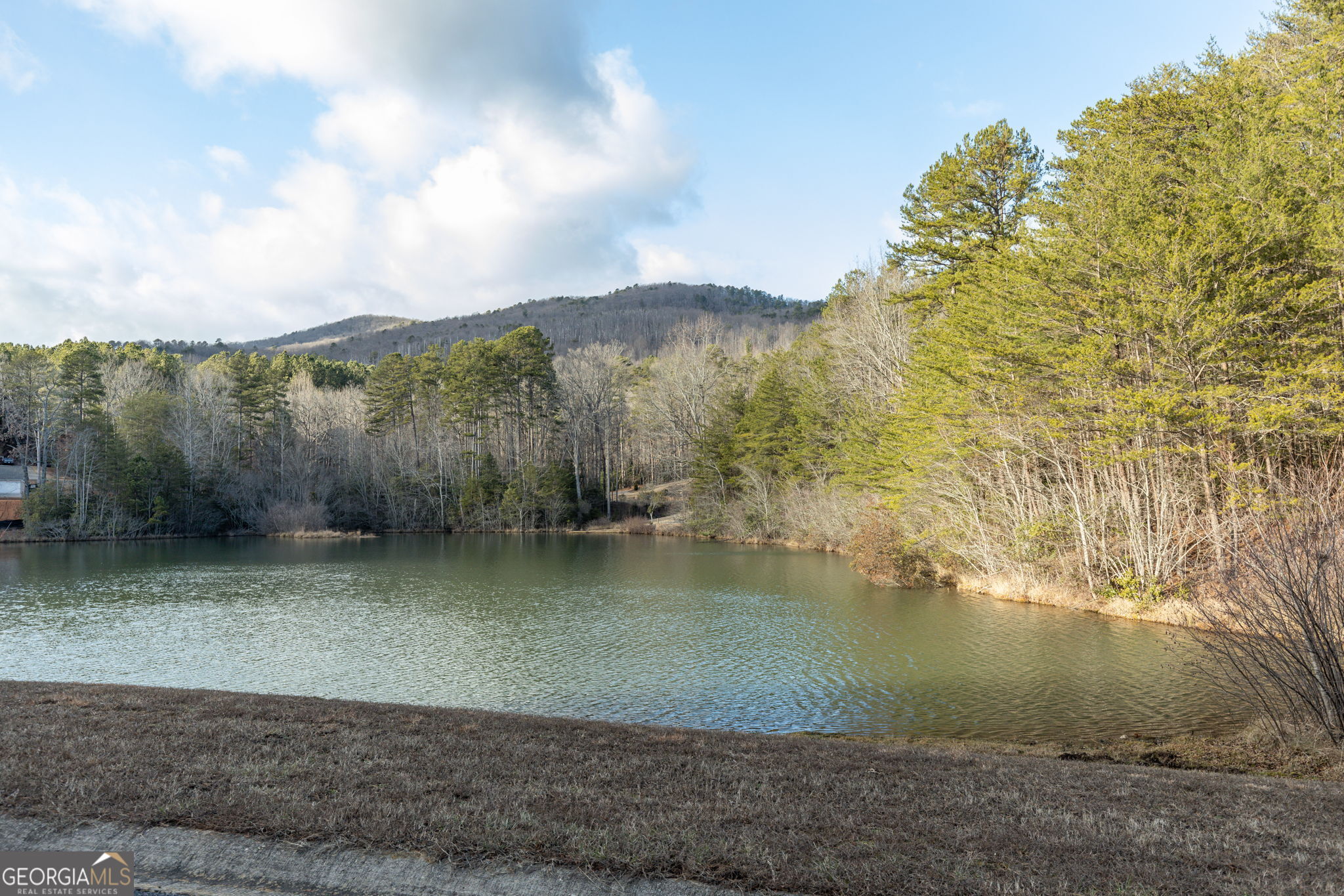 373 McIntosh Road Clarkesville, GA 30523 - Photo 59 of 92