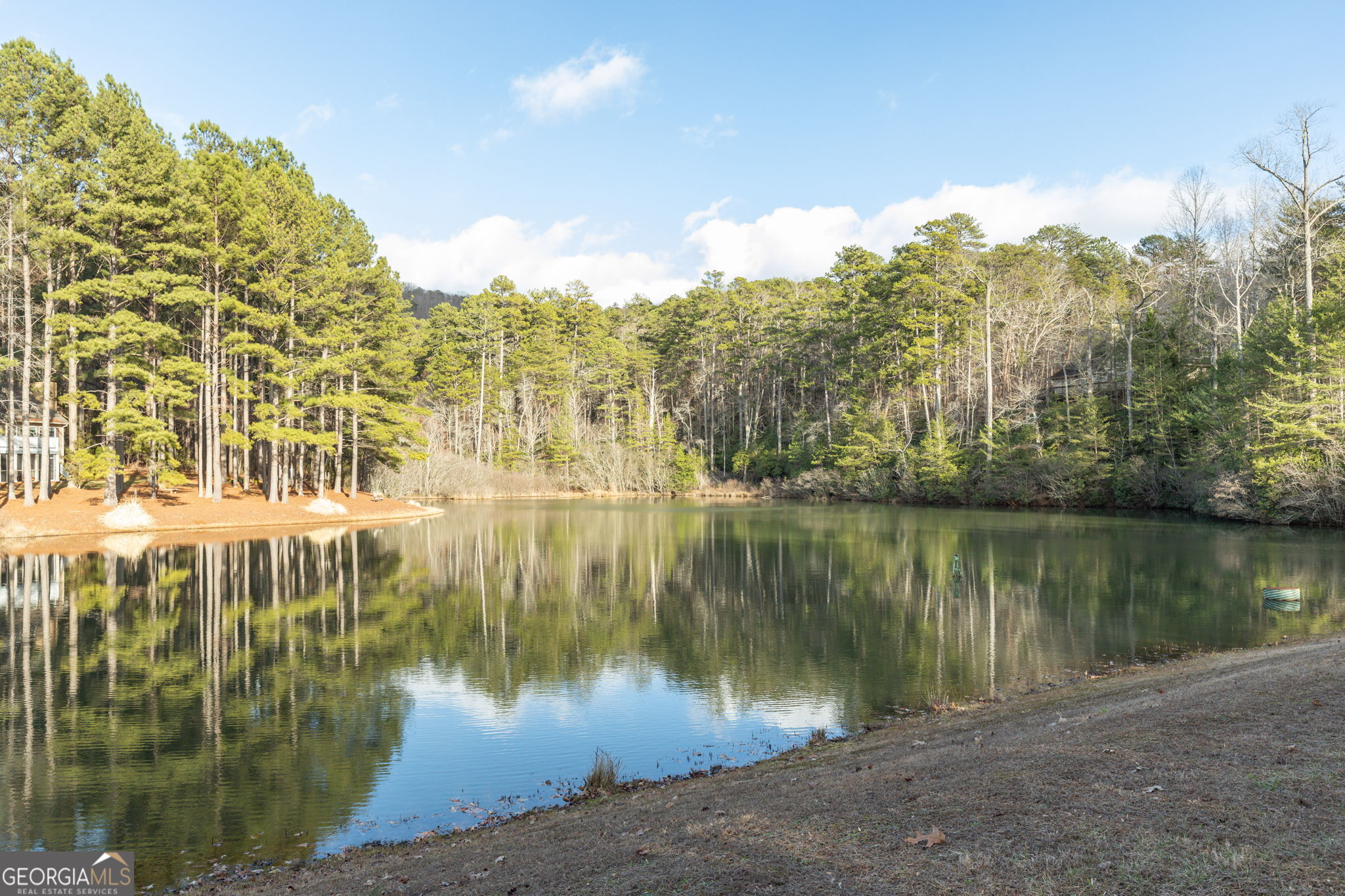 373 McIntosh Road Clarkesville, GA 30523 - Photo 60 of 92 a view of a lake view with a large trees