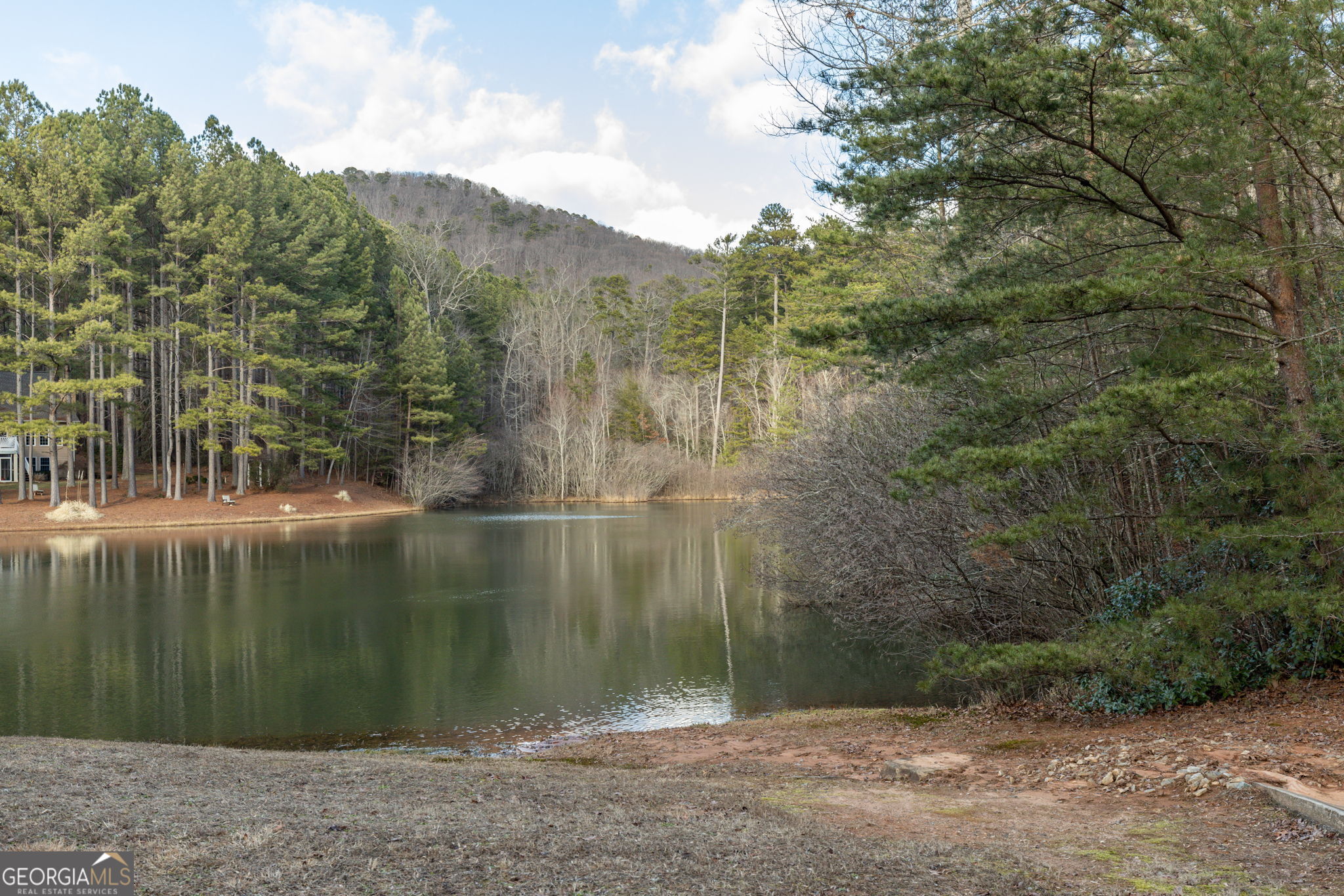 373 McIntosh Road Clarkesville, GA 30523 - Photo 61 of 92