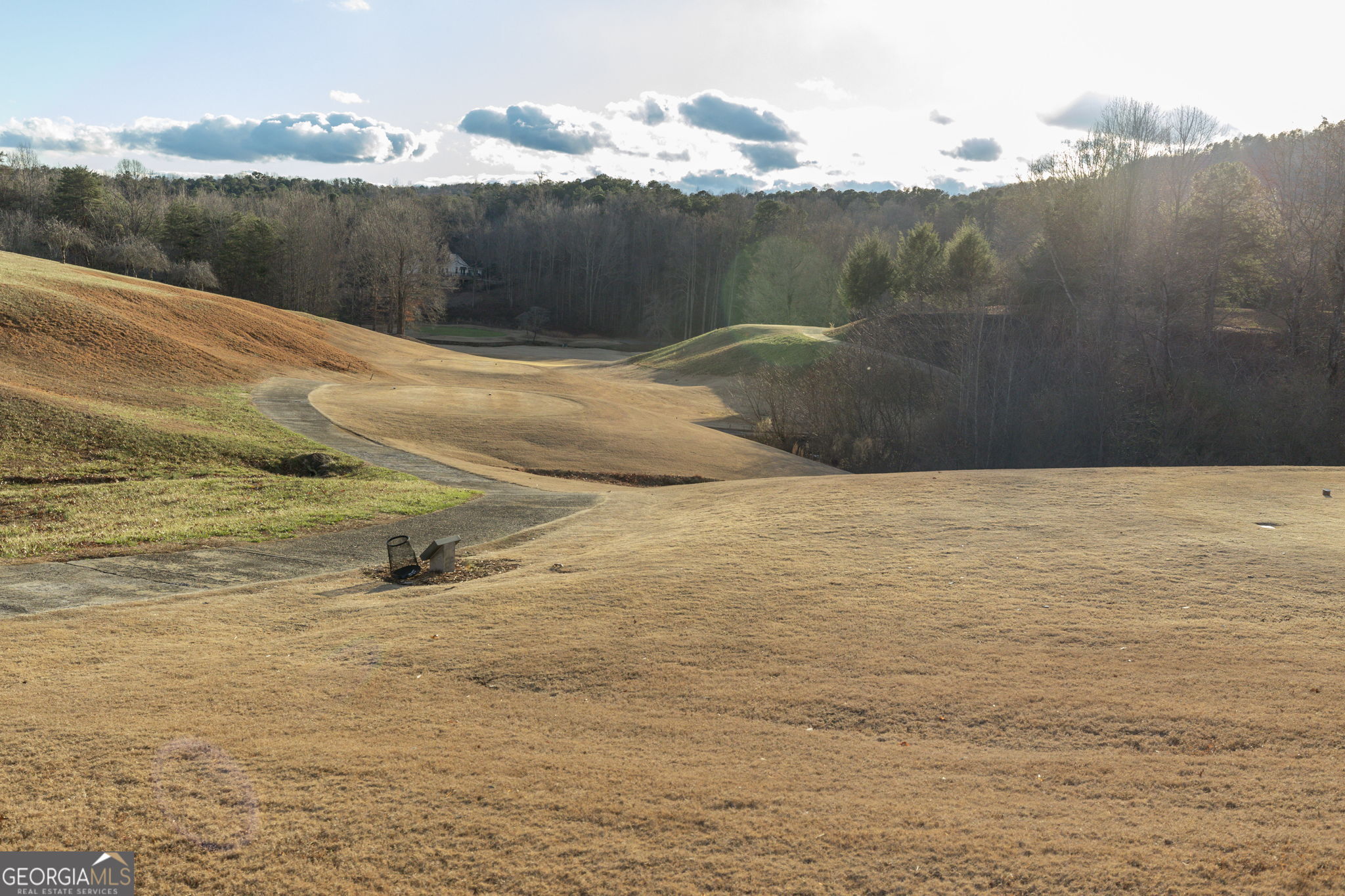 373 McIntosh Road Clarkesville, GA 30523 - Photo 63 of 92