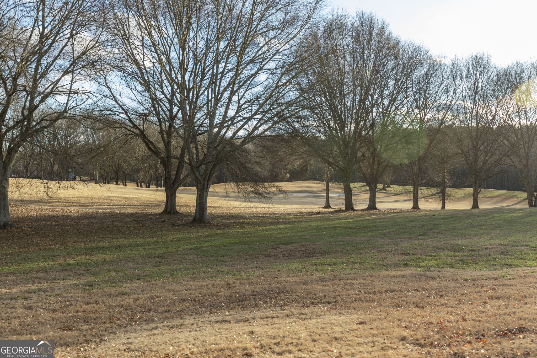 373 McIntosh Road Clarkesville, GA 30523 - Photo 66 of 92 a view of road with large trees