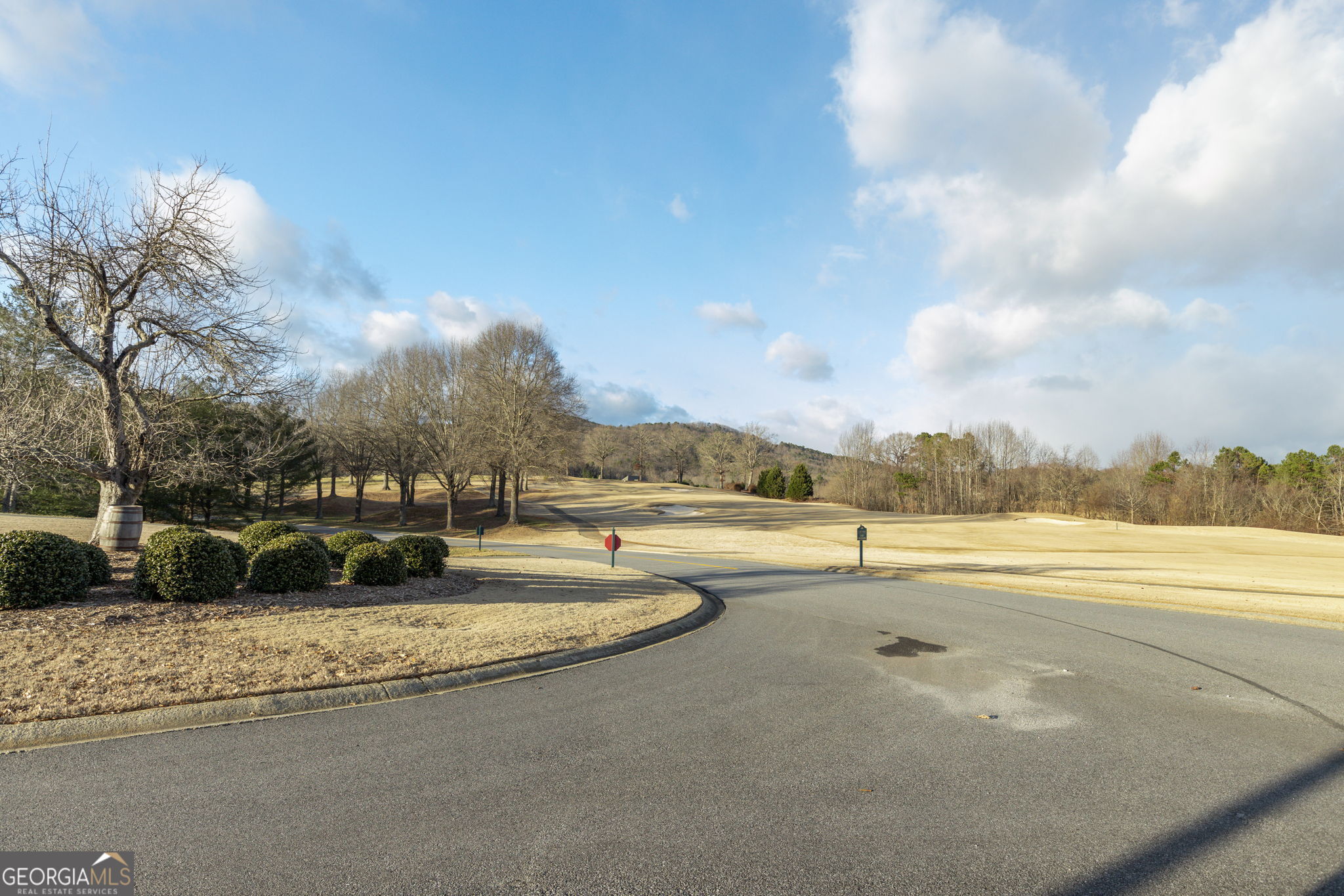 373 McIntosh Road Clarkesville, GA 30523 - Photo 67 of 92