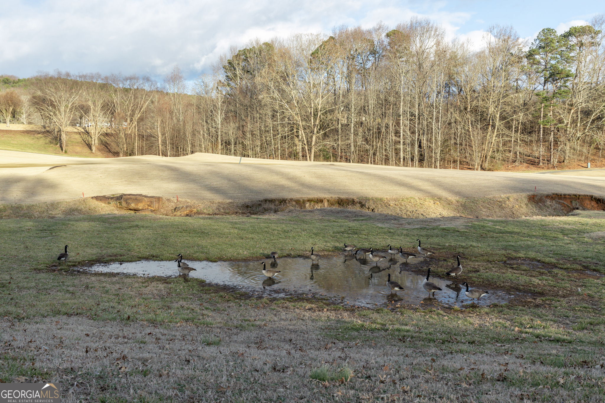 373 McIntosh Road Clarkesville, GA 30523 - Photo 68 of 92