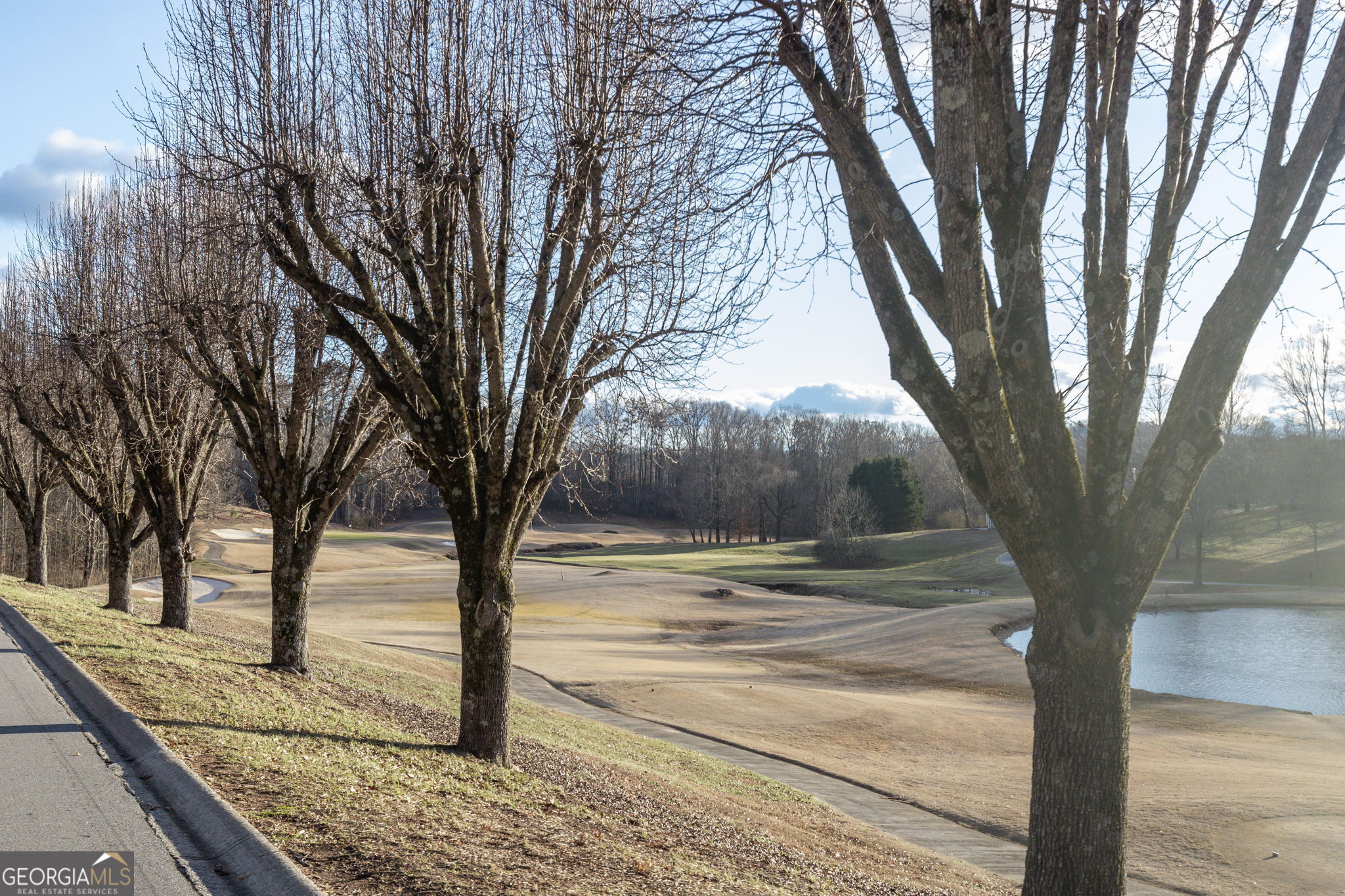 373 McIntosh Road Clarkesville, GA 30523 - Photo 72 of 92