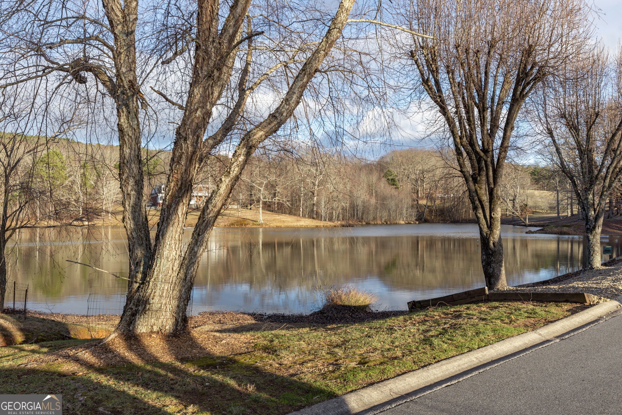 373 McIntosh Road Clarkesville, GA 30523 - Photo 74 of 92 a view of a backyard of a house