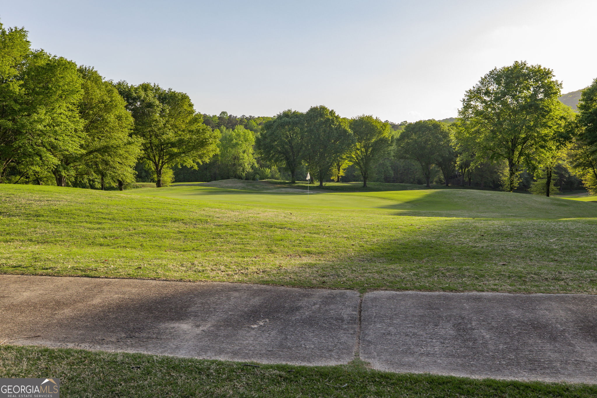 373 McIntosh Road Clarkesville, GA 30523 - Photo 90 of 92 a view of a field with an trees