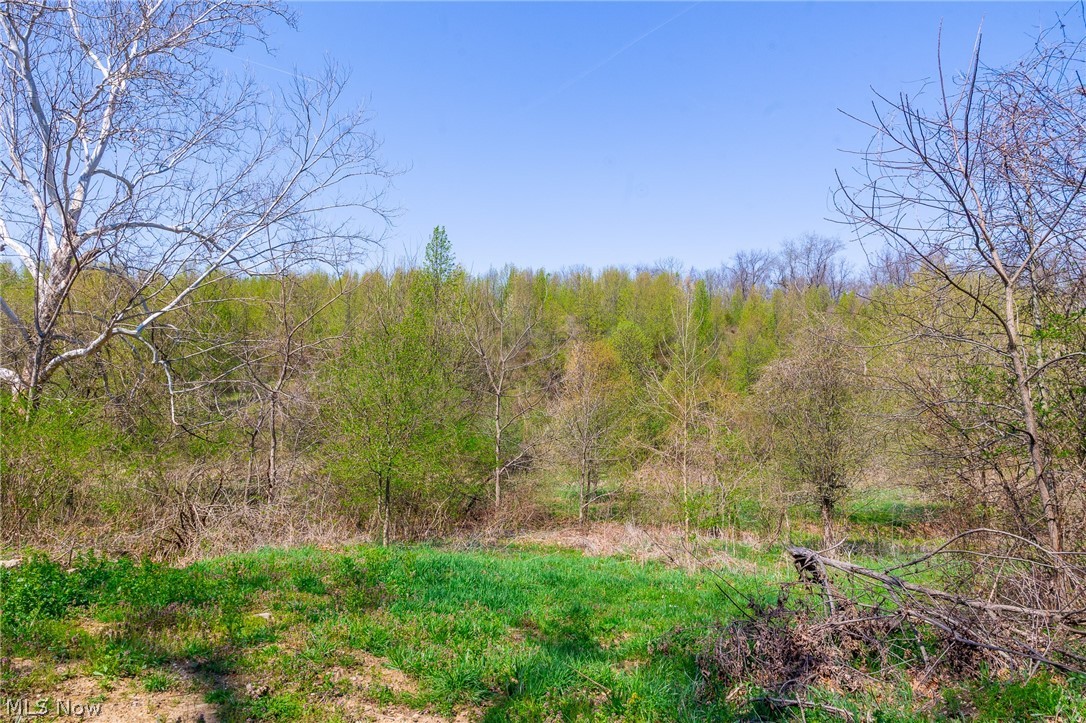 245 Liberty Road New Concord, OH 43762 - Photo 5 of 44 Gallery Image 5