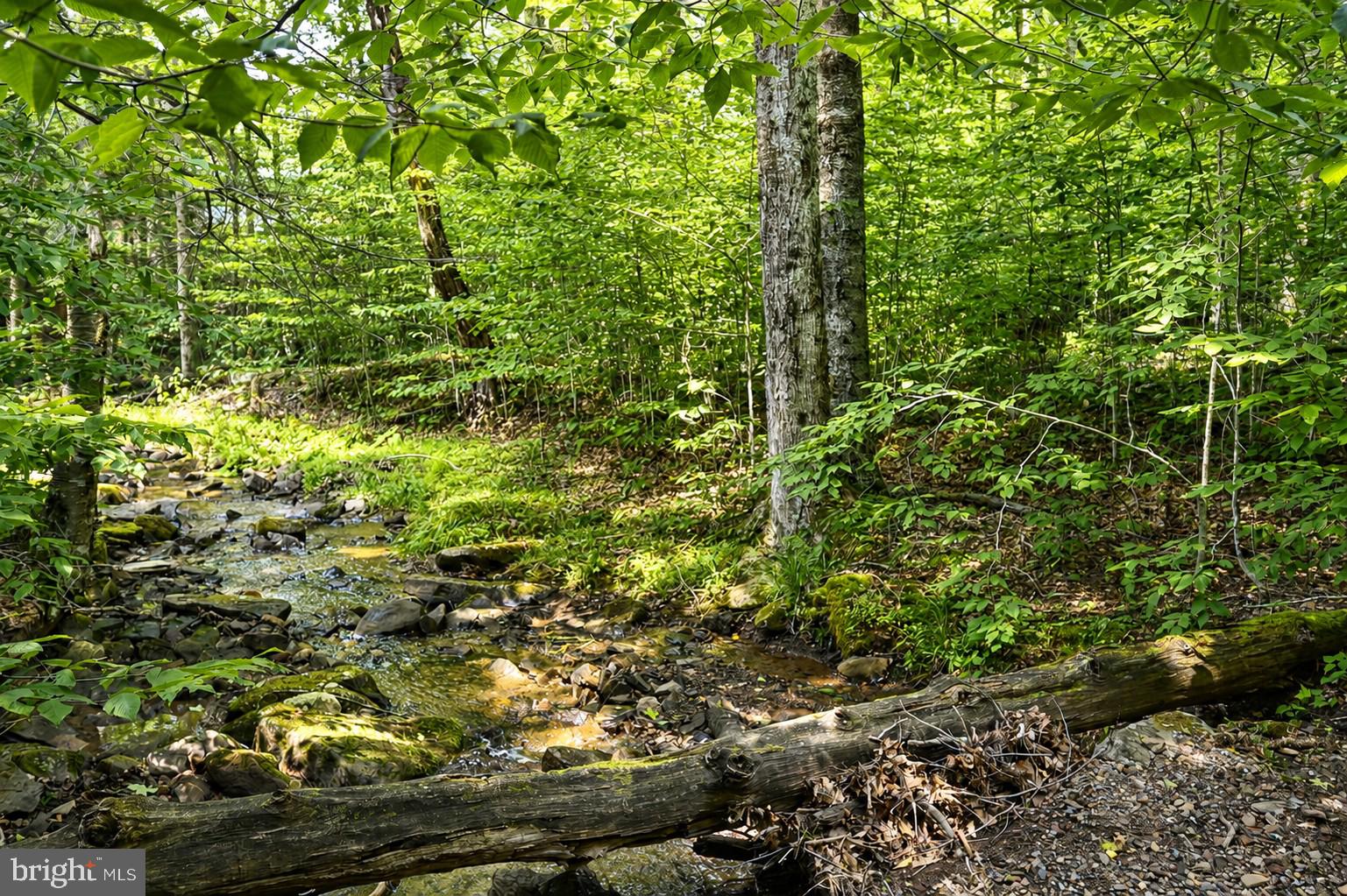 195 Brookside Road Davis, WV 26260 - Photo 14 of 58 Gallery Image 14