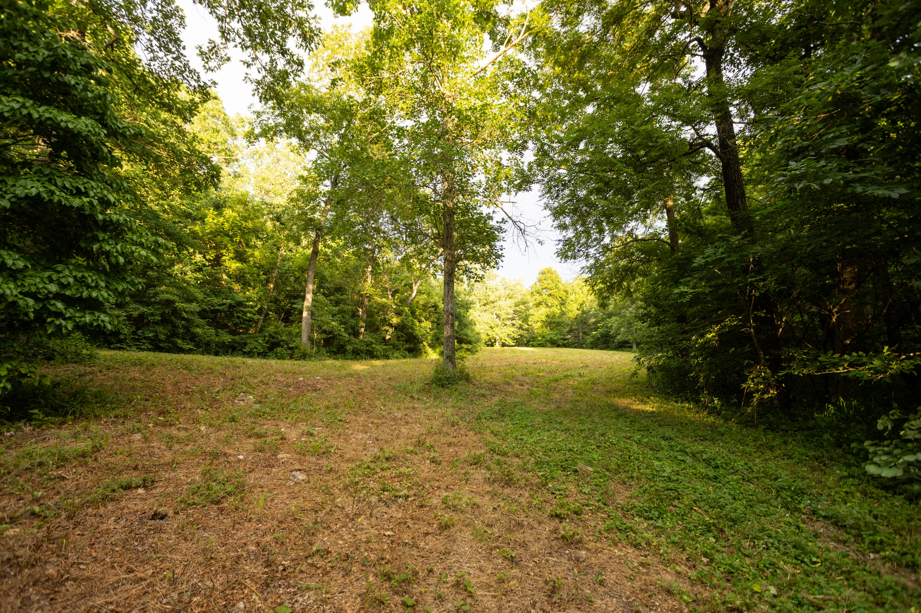 11995 Harvest Road Lebanon, MO 65536 - Photo 56 of 84 42