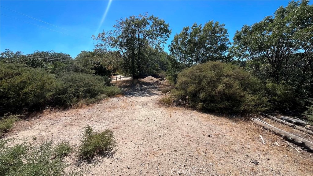 718 Cypress Road Cedar Glen, CA 92321 - Photo 3 of 24 Gallery Image 3