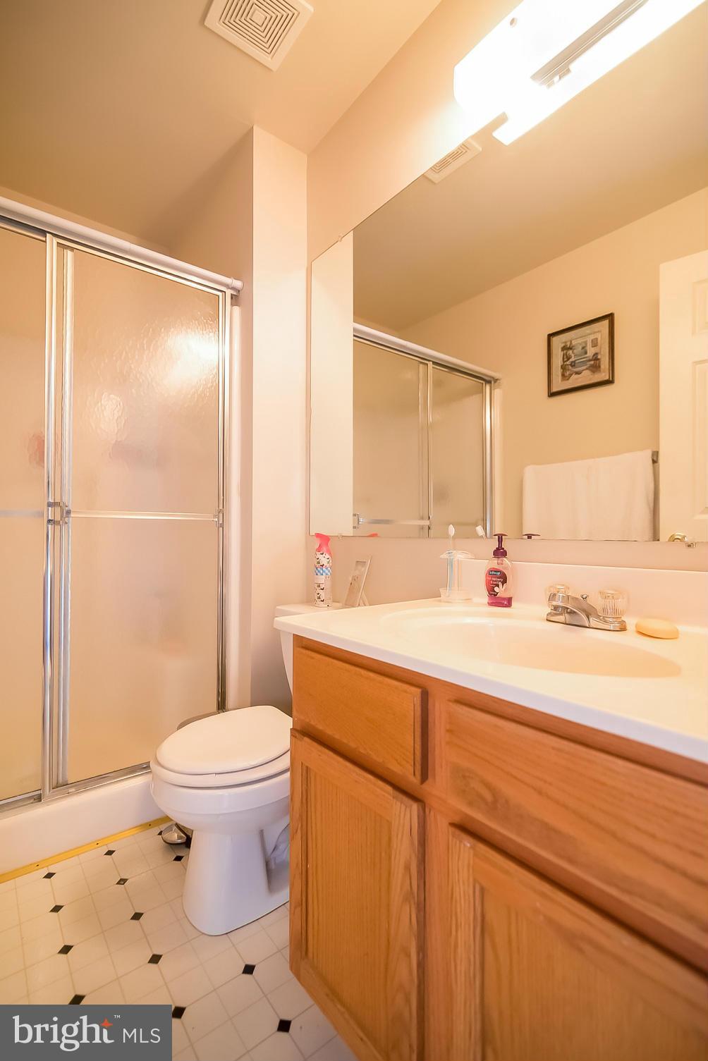 631 Hunting Fields Road Baltimore, MD 21220 - Photo 19 of 29 a bathroom with a sink a toilet a mirror and shower