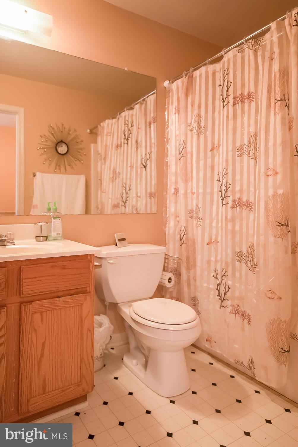 631 Hunting Fields Road Baltimore, MD 21220 - Photo 25 of 29 a bathroom with a sink a toilet a mirror and shower curtain