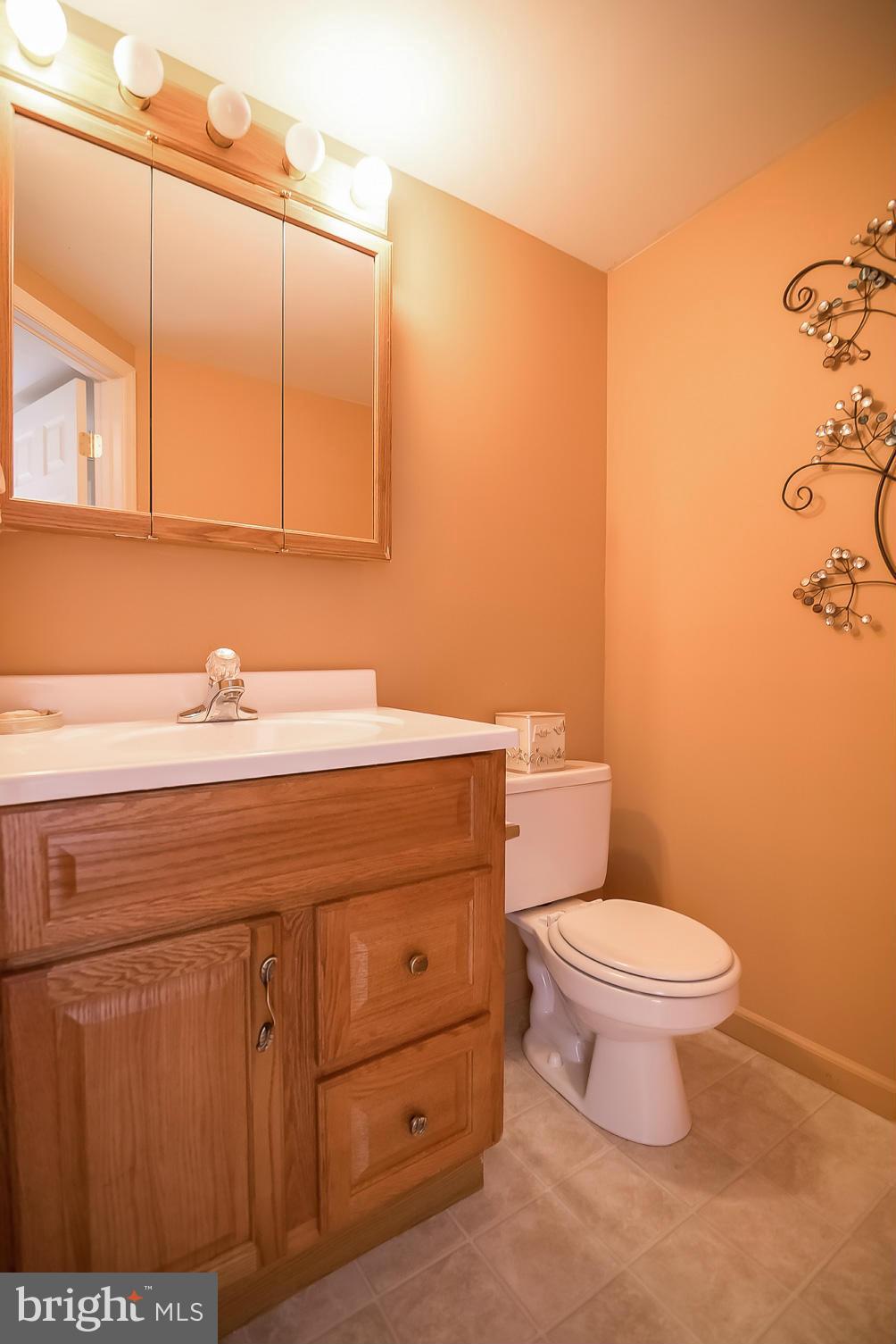 631 Hunting Fields Road Baltimore, MD 21220 - Photo 4 of 29 a bathroom with a sink a toilet and mirror