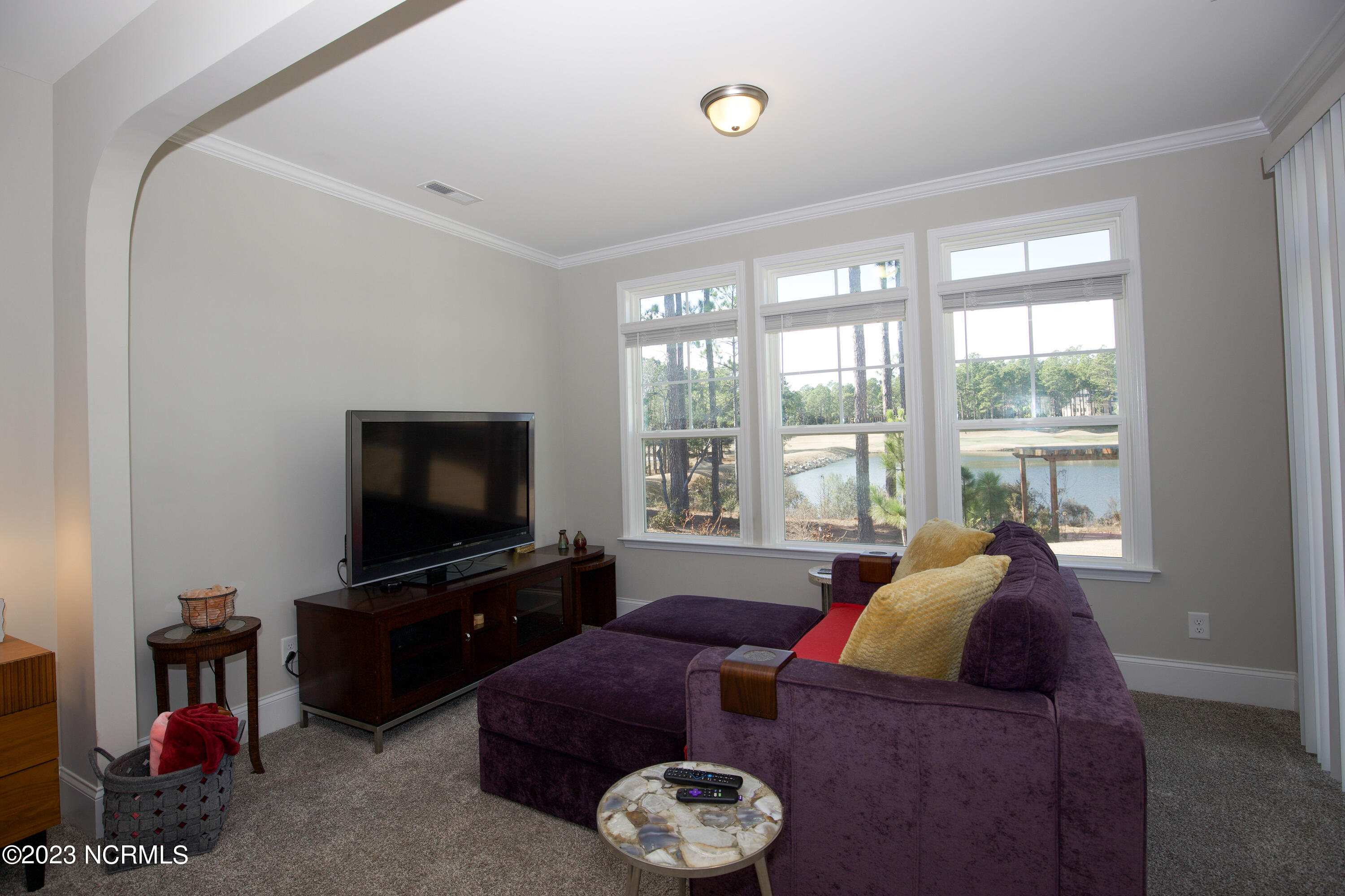 169 Holly Springs Court Southern Pines, NC 28387 - Photo 33 of 51 169 Holly Springs Ct-30