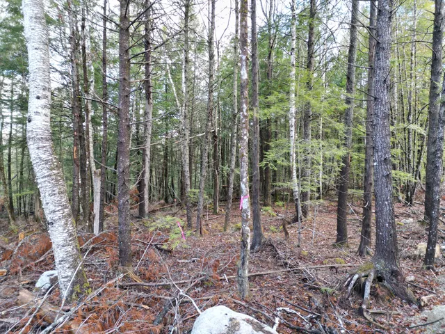 $39,000 | Lot 5 Beaver Cove, Lincoln, ME 04457