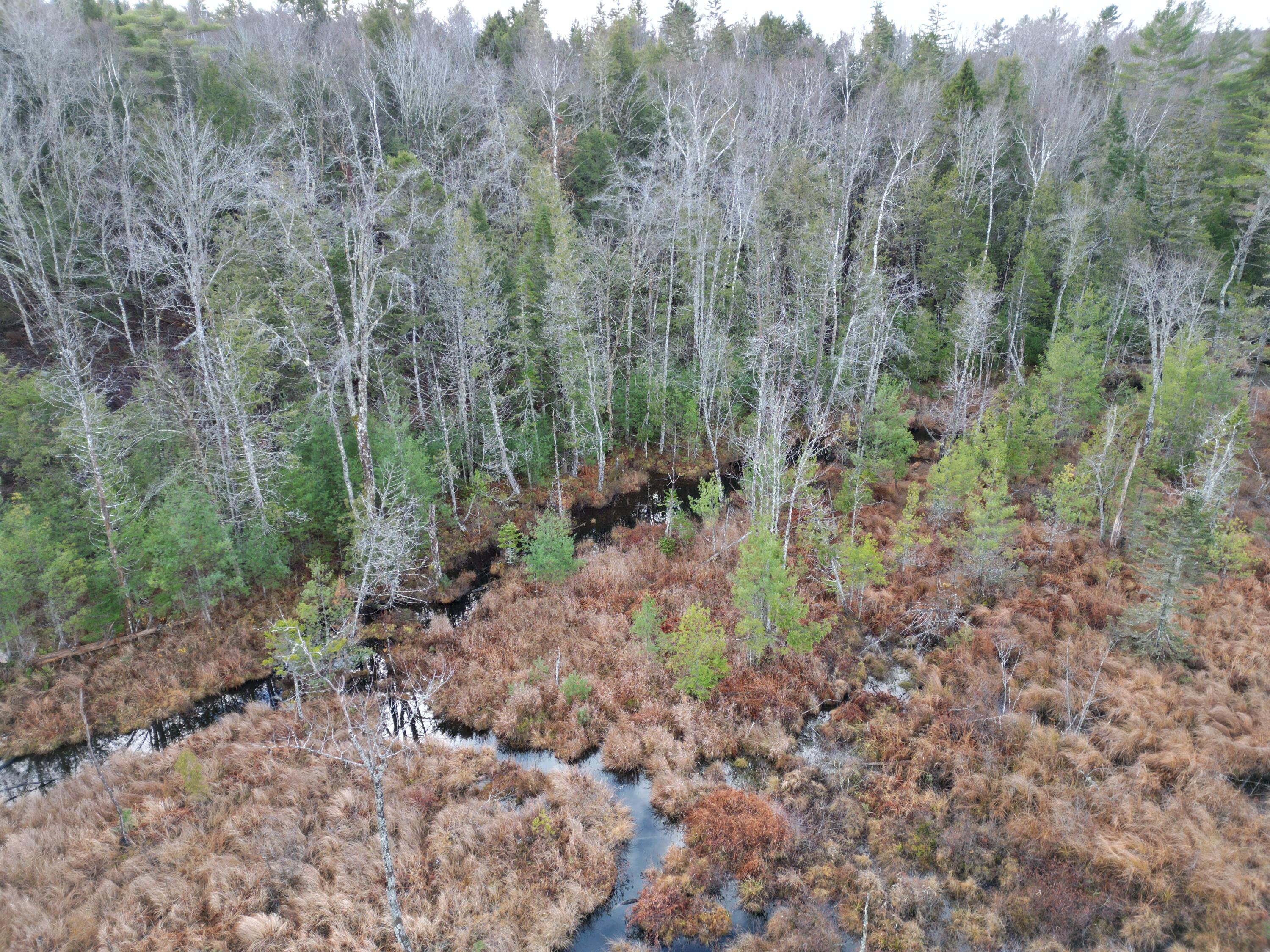 10 Falcon Ridge Lincoln, ME 04457 - Photo 15 of 16 DJI_0009