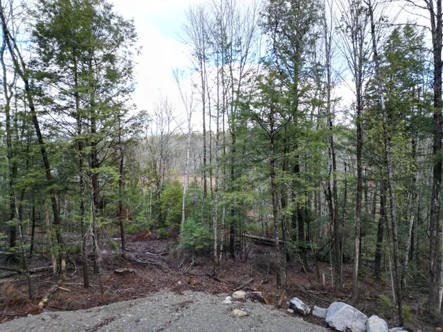 $39,000 | Lot 5 Beaver Cove, Lincoln, ME 04457