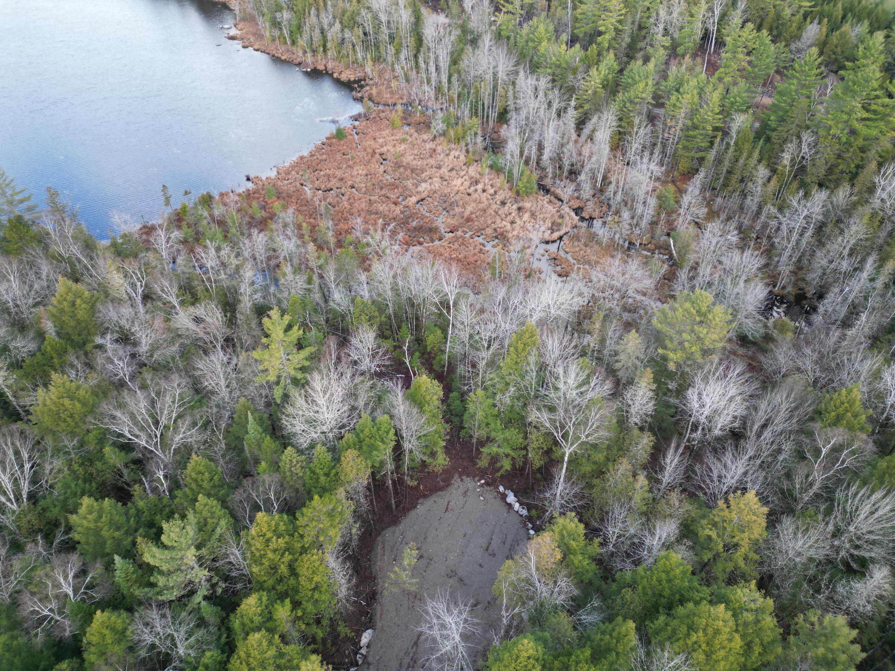 10 Falcon Ridge Lincoln, ME 04457 - Photo 6 of 16 DJI_0005