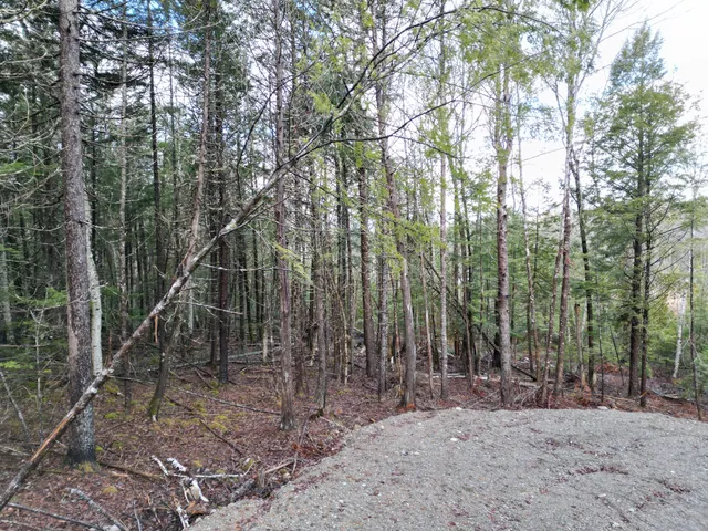 $39,000 | Lot 5 Beaver Cove, Lincoln, ME 04457