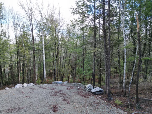 $39,000 | Lot 5 Beaver Cove, Lincoln, ME 04457