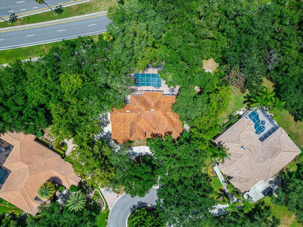15707 Cochester Road Tampa, FL 33647 - Photo 11 of 95