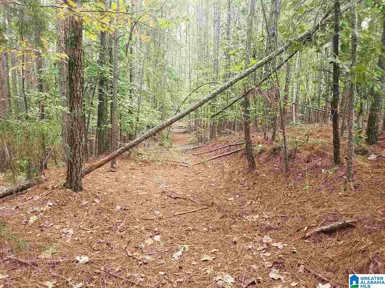 2229 County Road 82 Fruithurst, AL 36262 - Photo 8 of 12