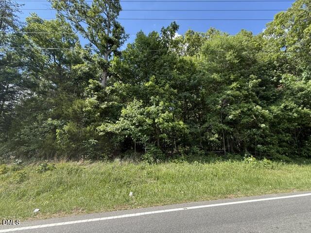 3415 Mt Willing Road Efland, NC 27243 - Photo 35 of 36 a view of a yard with plants and a bench