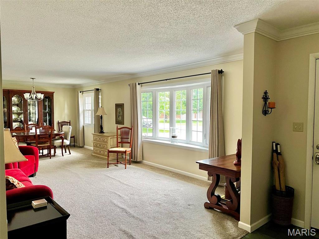 403 Sutton Drive Palmyra, MO 63461 - Photo 11 of 47