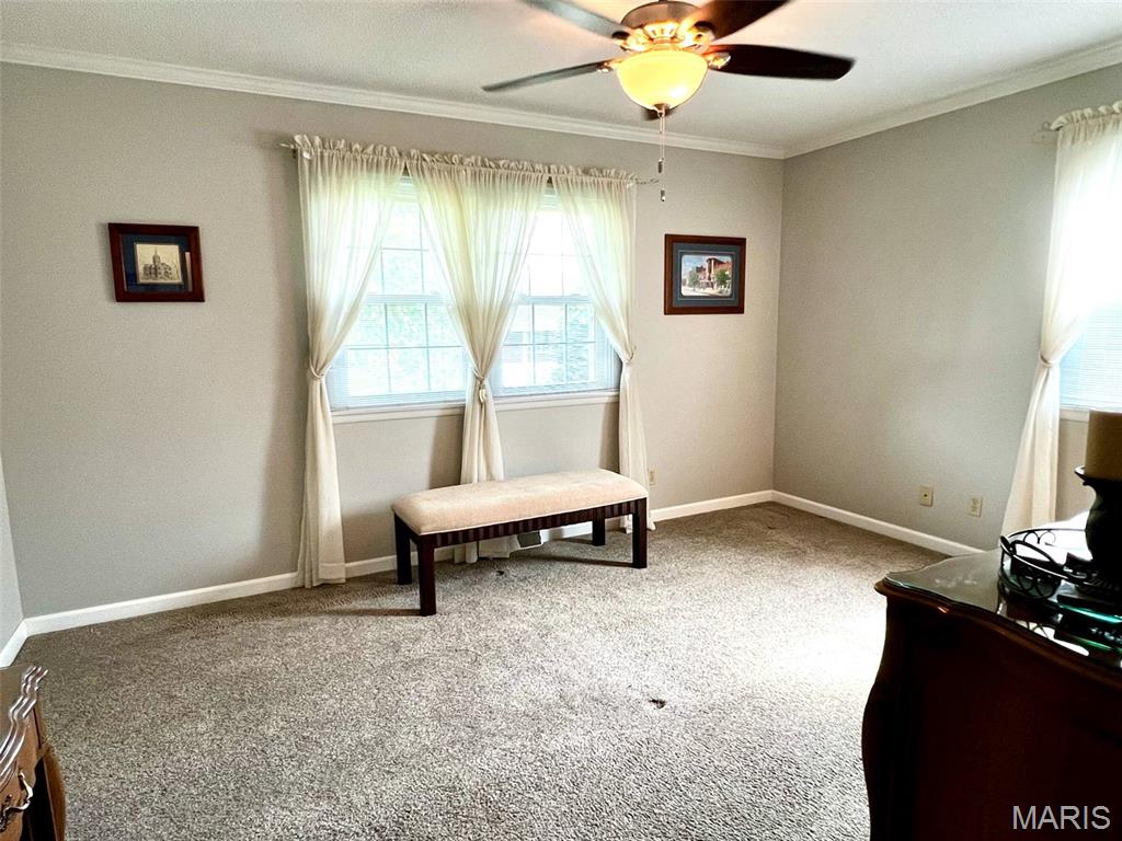 403 Sutton Drive Palmyra, MO 63461 - Photo 24 of 47