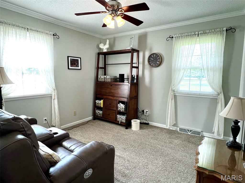 403 Sutton Drive Palmyra, MO 63461 - Photo 30 of 47