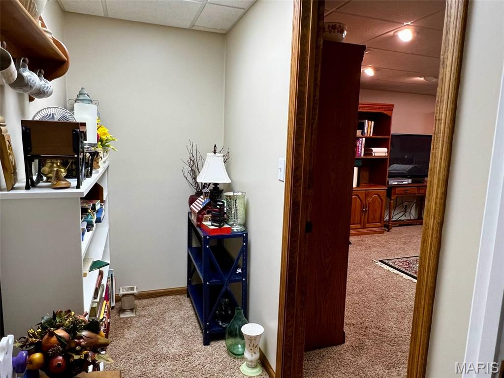 403 Sutton Drive Palmyra, MO 63461 - Photo 38 of 47