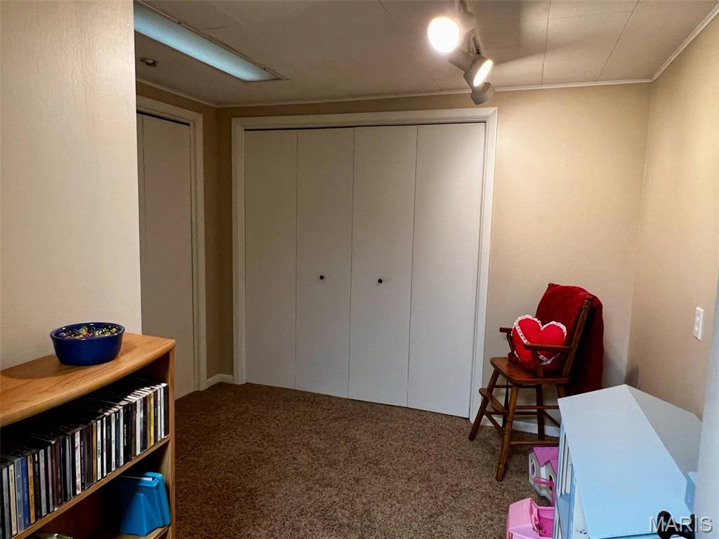 403 Sutton Drive Palmyra, MO 63461 - Photo 43 of 47