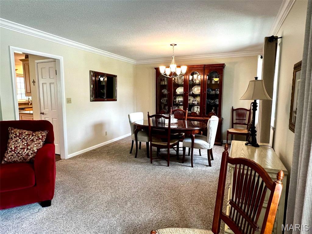 403 Sutton Drive Palmyra, MO 63461 - Photo 10 of 47