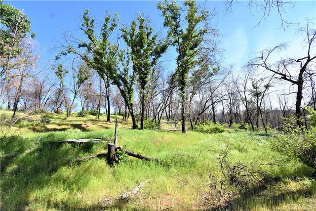 a view of swimming pool with a yard