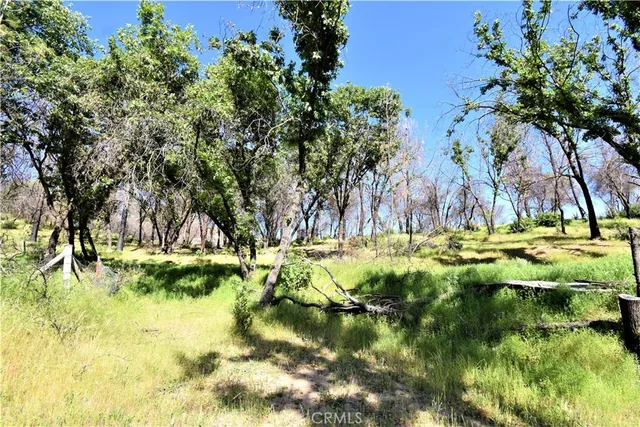 a view of swimming pool with a yard