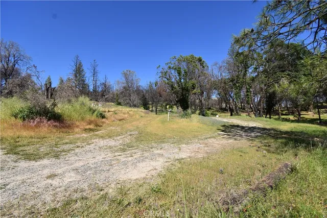 a view of a field with trees in the background