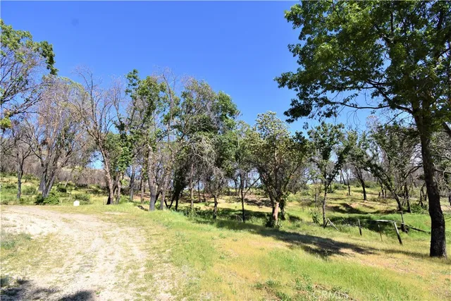 a view of yard with green space