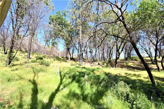 a view of yard with trees