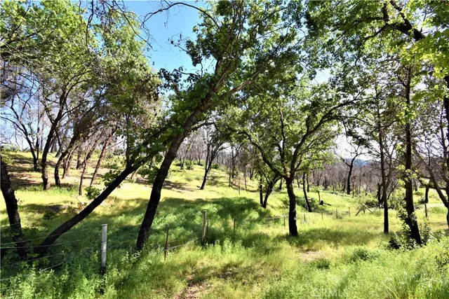 a backyard of a house with yard and green space