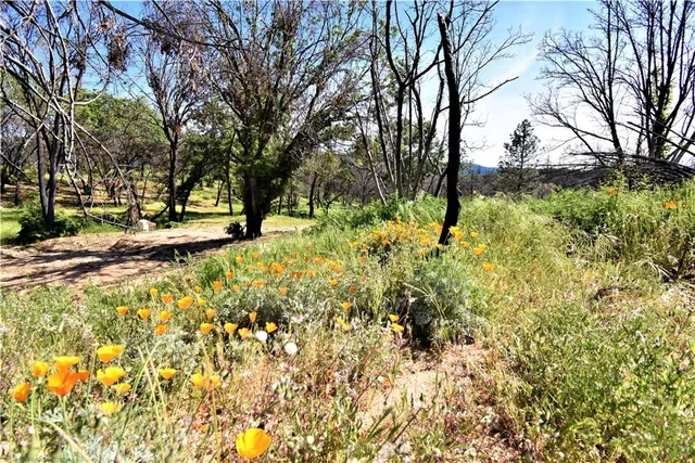 a view of outdoor space and yard
