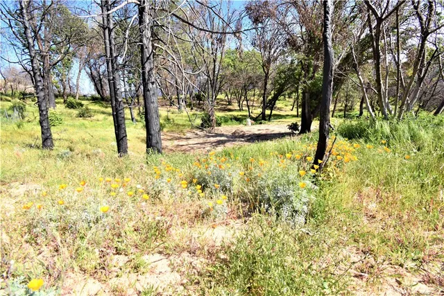 a view of a yard covered with snow