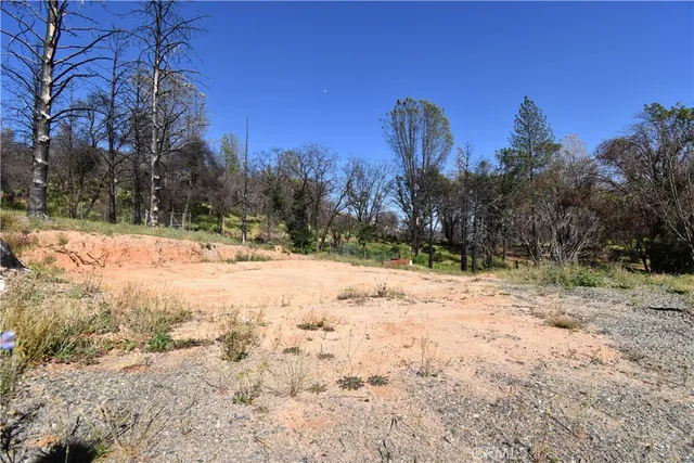 a view of dirt yard with a tree