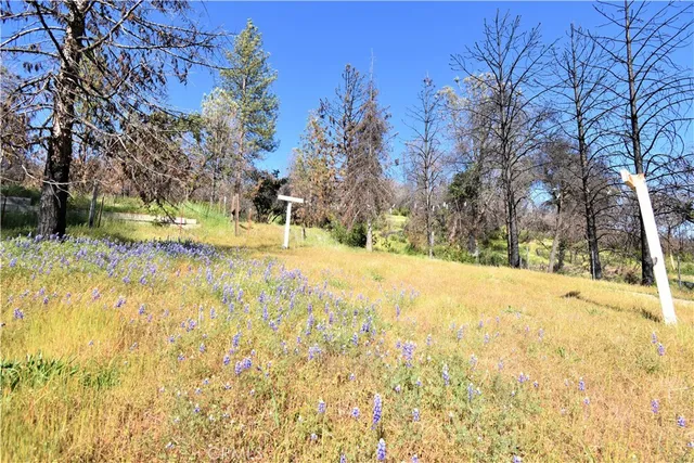 a view of outdoor space with garden view