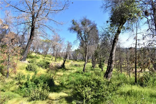 a view of outdoor space with trees