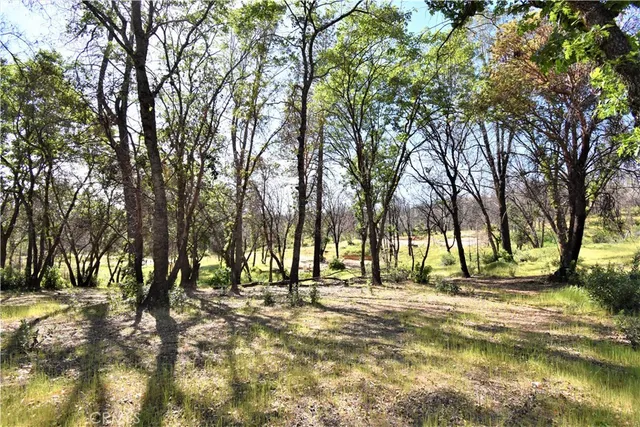 a view of a yard with a tree